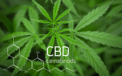 CBD: Legal status and clinical practice issues