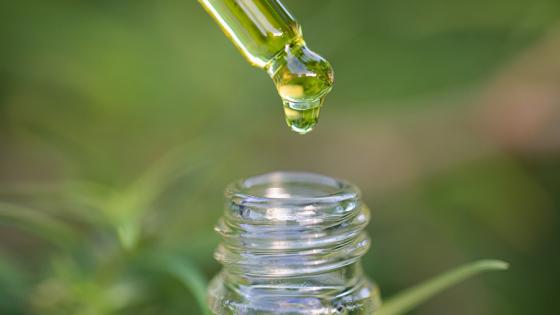 4 Myths About Hemp Oil and CBD Oil Debunked
