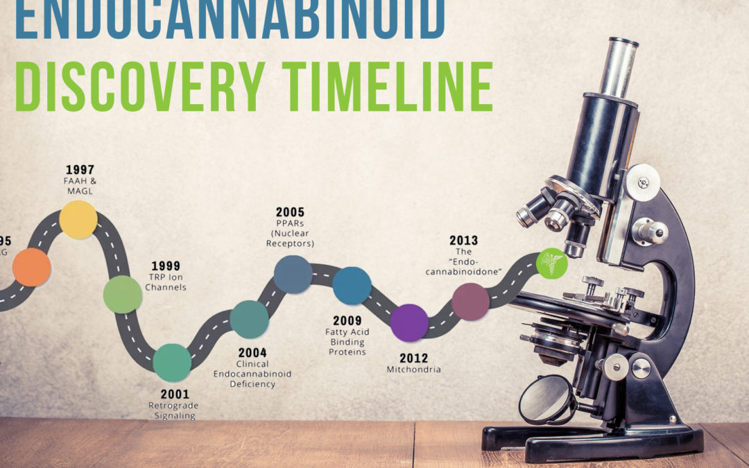 Endocannabinoid Discovery Timeline