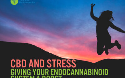 CBD and Stress – Giving Your Endocannabinoid System a Boost